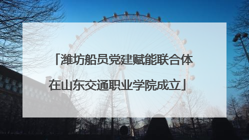 潍坊船员党建赋能联合体在山东交通职业学院成立