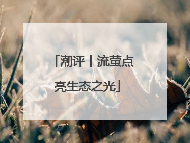 潮评丨流萤点亮生态之光