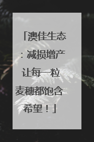 澳佳生态：减损增产 让每一粒麦穗都饱含希望！