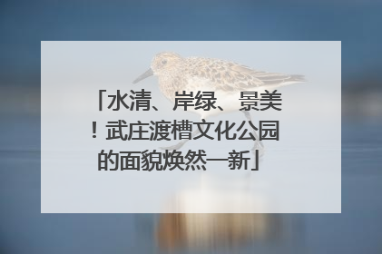 水清、岸绿、景美！武庄渡槽文化公园的面貌焕然一新
