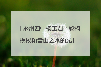 永州四中杨玉君：轮椅拐杖和雪山之水的光