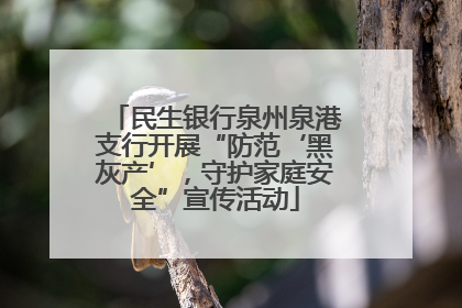民生银行泉州泉港支行开展“防范‘黑灰产’，守护家庭安全”宣传活动