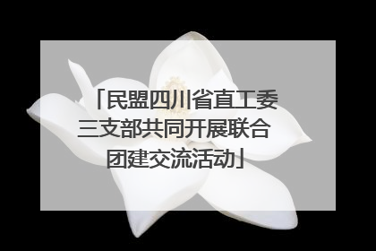 民盟四川省直工委三支部共同开展联合团建交流活动