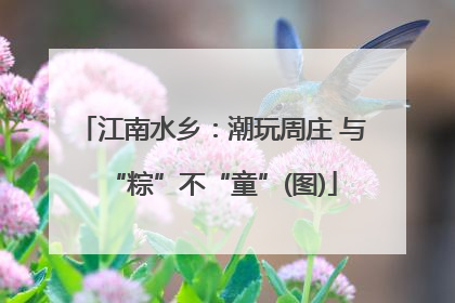 江南水乡：潮玩周庄 与“粽”不“童”(图)