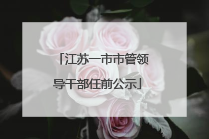 江苏一市市管领导干部任前公示