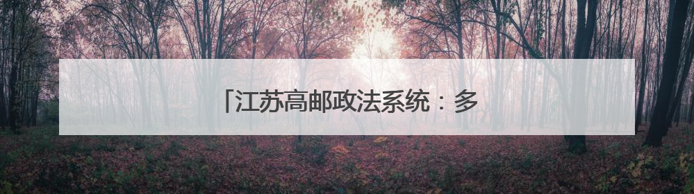 江苏高邮政法系统：多措并举护航企业发展