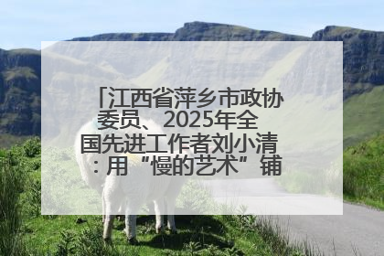 江西省萍乡市政协委员、2025年全国先进工作者刘小清：用“慢的艺术”铺就“爱的长征”