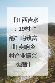 江西吉水：19村“鸽”鸣致富曲 奏响乡村产业振兴强音