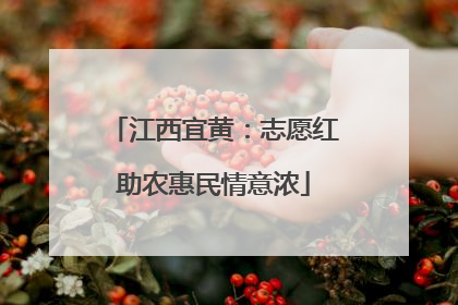 江西宜黄：志愿红助农惠民情意浓