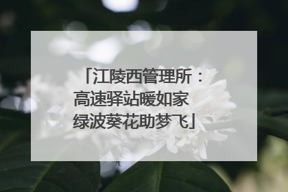 江陵西管理所：高速驿站暖如家 绿波葵花助梦飞