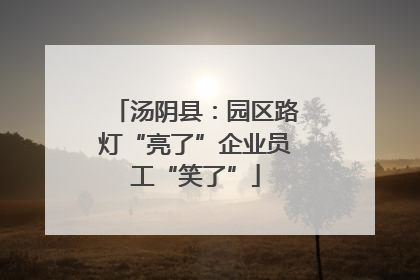 汤阴县：园区路灯“亮了”企业员工“笑了”