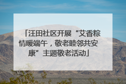 汪田社区开展“艾香粽情暖端午，敬老睦邻共安康”主题敬老活动