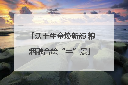 沃土生金焕新颜 粮烟融合绘“丰”景