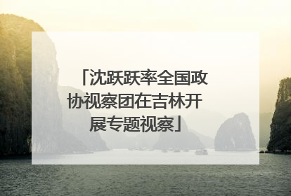 沈跃跃率全国政协视察团在吉林开展专题视察