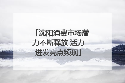 沈阳消费市场潜力不断释放 活力迸发亮点频现
