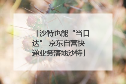 沙特也能“当日达” 京东自营快递业务落地沙特
