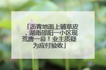 沥青地面上铺草皮，湖南邵阳一小区现荒唐一幕！业主质疑为应付验收