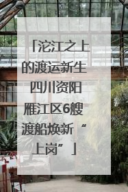 沱江之上的渡运新生 四川资阳雁江区6艘渡船焕新“上岗”