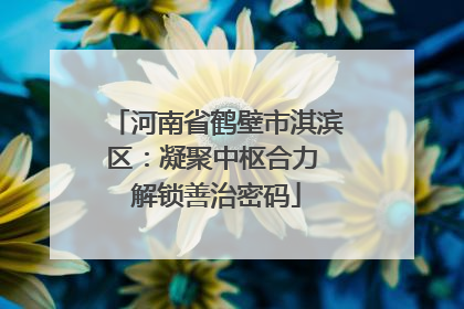 河南省鹤壁市淇滨区：凝聚中枢合力 解锁善治密码