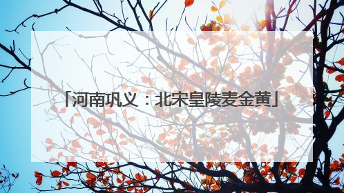 河南巩义：北宋皇陵麦金黄