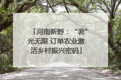 河南新野：“薯”光无限 订单农业激活乡村振兴密码