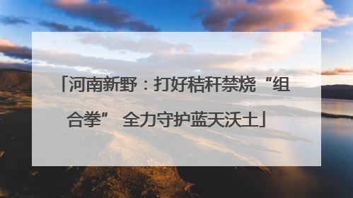 河南新野：打好秸秆禁烧“组合拳” 全力守护蓝天沃土
