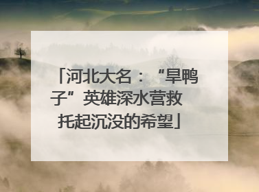河北大名：“旱鸭子”英雄深水营救 托起沉没的希望