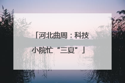 河北曲周：科技小院忙“三夏”