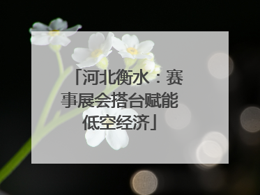 河北衡水：赛事展会搭台赋能低空经济