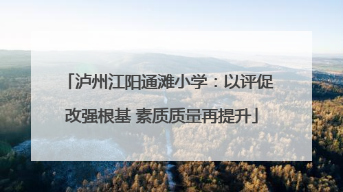泸州江阳通滩小学：以评促改强根基 素质质量再提升