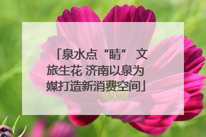 泉水点“睛” 文旅生花 济南以泉为媒打造新消费空间