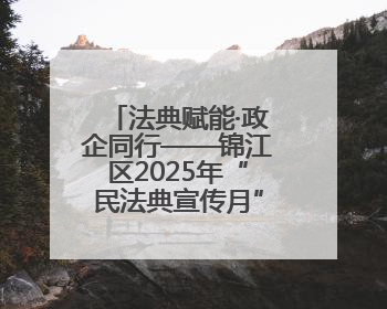 法典赋能·政企同行——锦江区2025年“民法典宣传月”汇聚力量 助推企业发展