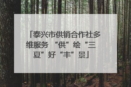 泰兴市供销合作社多维服务 “供”绘“三夏”好“丰”景