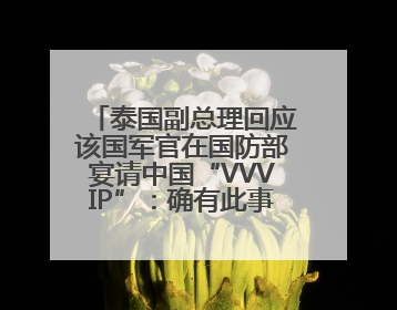 泰国副总理回应该国军官在国防部宴请中国“VVVIP”：确有此事，正在调查