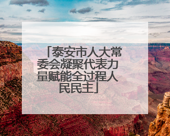 泰安市人大常委会凝聚代表力量赋能全过程人民民主
