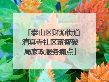 泰山区财源街道清真寺社区聚智破局家政服务痛点