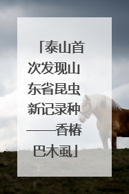 泰山首次发现山东省昆虫新记录种——香椿巴木虱