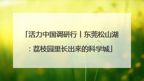 活力中国调研行丨东莞松山湖：荔枝园里长出来的科学城