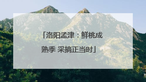 洛阳孟津：鲜桃成熟季 采摘正当时