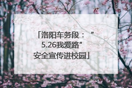 洛阳车务段:“5.26我爱路”安全宣传进校园