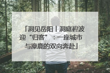 洞见岳阳丨洞庭碧波迎“归客”：一座城市与麋鹿的双向奔赴