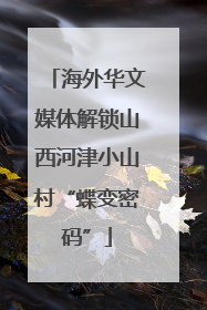 海外华文媒体解锁山西河津小山村“蝶变密码”
