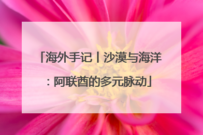 海外手记丨沙漠与海洋：阿联酋的多元脉动