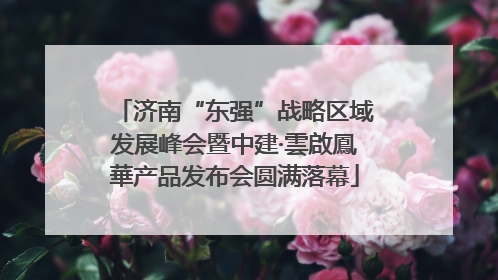 济南“东强”战略区域发展峰会暨中建·雲啟鳳華产品发布会圆满落幕