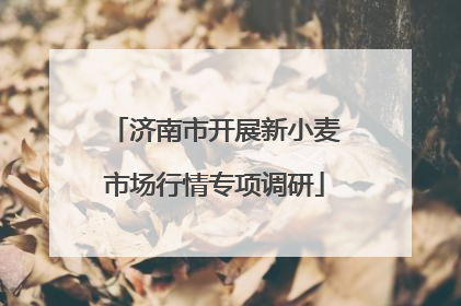 济南市开展新小麦市场行情专项调研