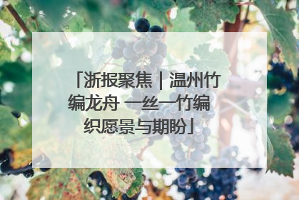 浙报聚焦｜温州竹编龙舟 一丝一竹编织愿景与期盼
