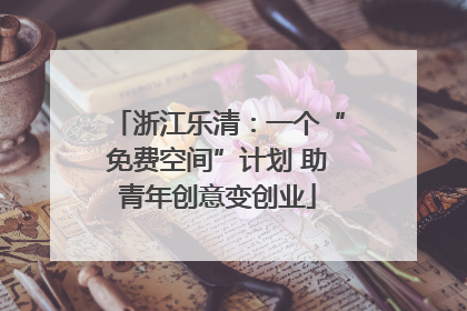 浙江乐清：一个“免费空间”计划 助青年创意变创业