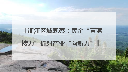 浙江区域观察：民企“青蓝接力”折射产业“向新力”
