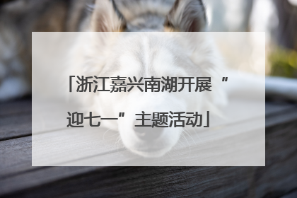 浙江嘉兴南湖开展“迎七一”主题活动