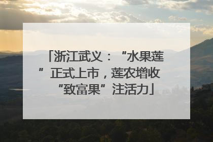 浙江武义：“水果莲”正式上市，莲农增收“致富果”注活力